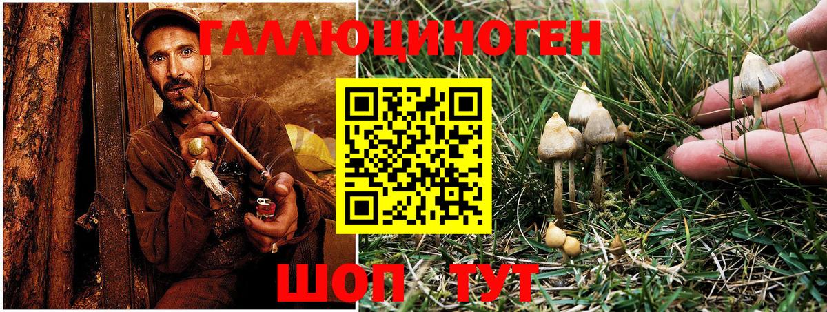 Псилоцибиновые грибы Magic Shrooms Тавда