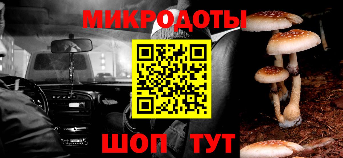 Галлюциногенные грибы мицелий  Вход с VPN  Тавда 